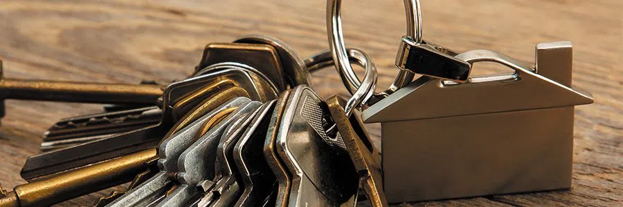 Tower Grove East MO Locksmith Store, St. Louis, MO 314-590-2078 - residential-locksmith-image